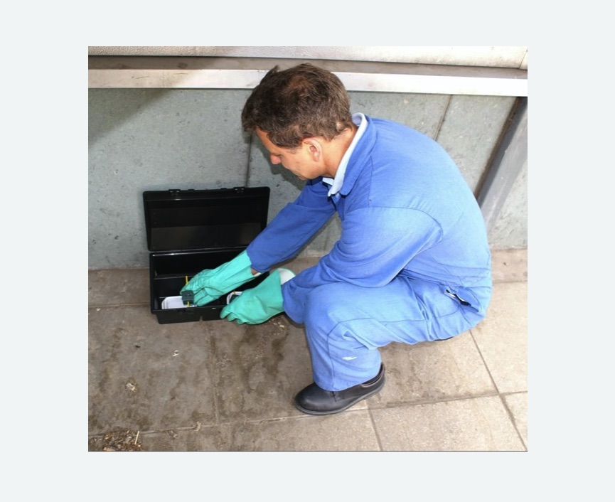 Дератизация помещения в Рязанском районе Москвы Дератизация помещения