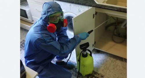 Уничтожение муравьев в квартире. Рязанский район