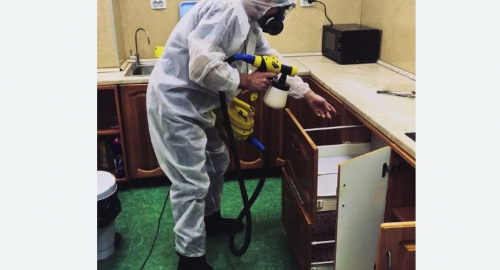 Уничтожение насекомых в квартире. Рязанский район