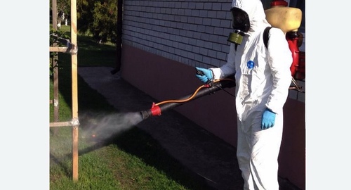 Уничтожение клещей на участке в Рязанском районе Москвы