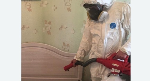 Уничтожение клещей в квартире. Рязанский район