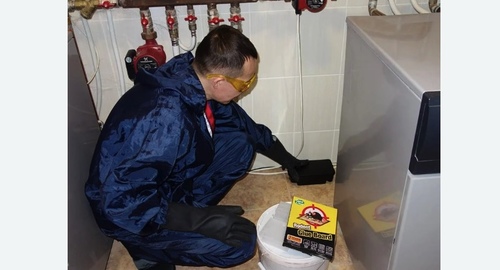 Дератизация крыс. Рязанский район