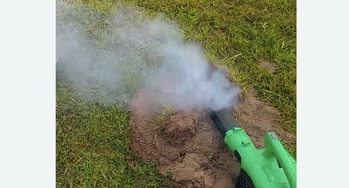 Обработка от кротов в Рязанском районе Москвы