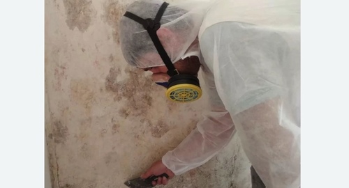 Обработка стен от плесени в Рязанском районе Москвы