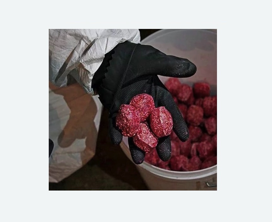 Обработка от крыс в Рязанском районе Москвы