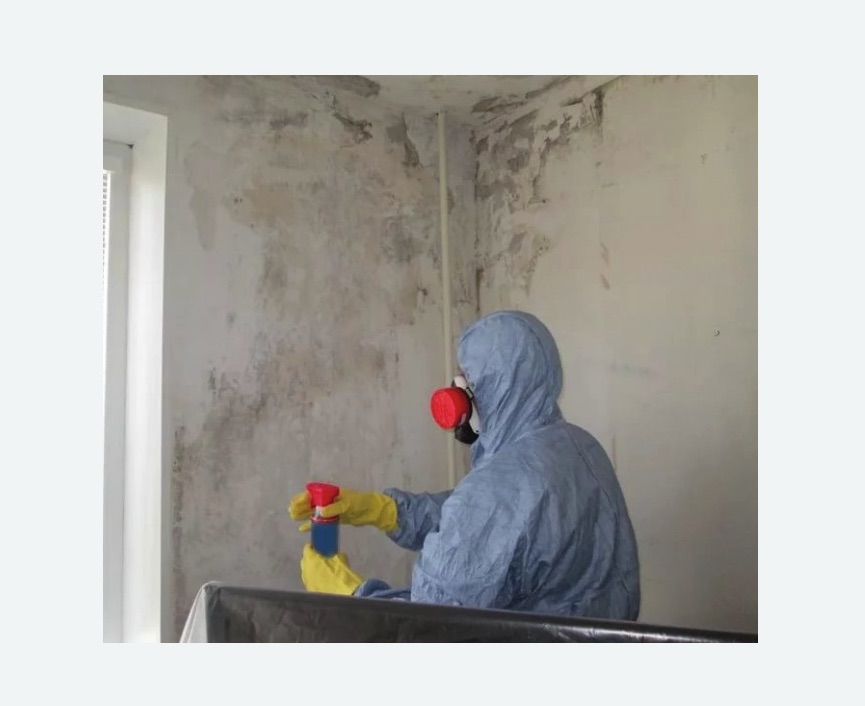 Удаление плесени в квартире в Рязанском районе Москвы