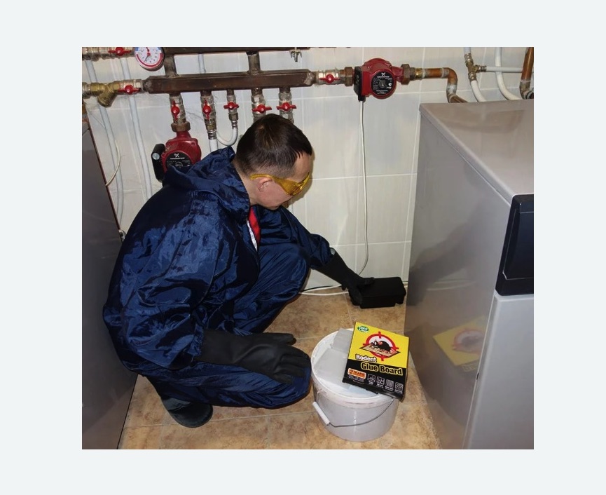 Уничтожение крыс в Рязанском районе Москвы