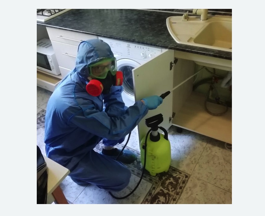 обработка от муравьев в квартире в Рязанском районе Москвы